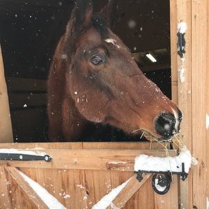 Meet your Posher, Jeannine